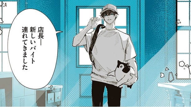 新しいバイト連れてきました