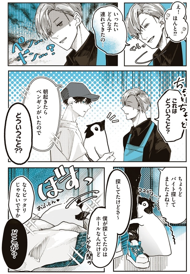 これはどういうこと？