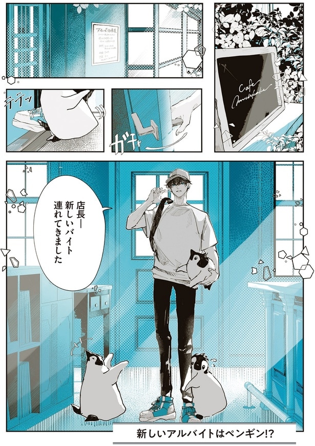 新しいアルバイトはペンギン！？