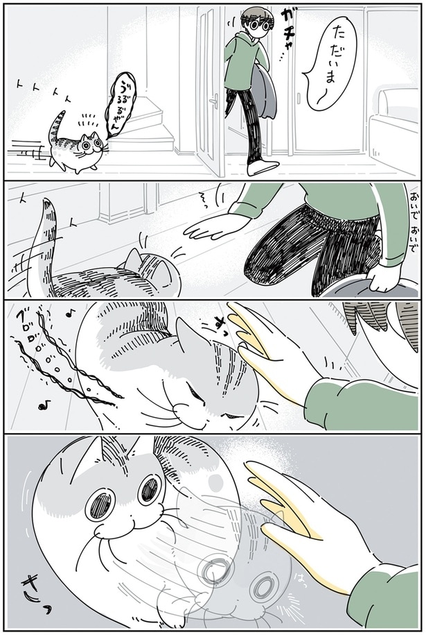 取り調べしたいネコ