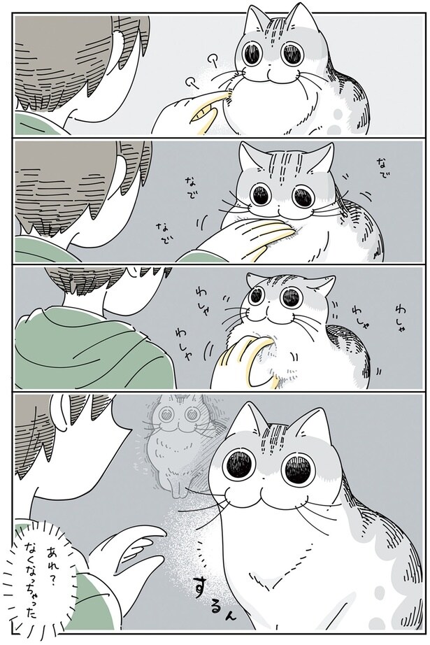 あれ？なくなっちゃった