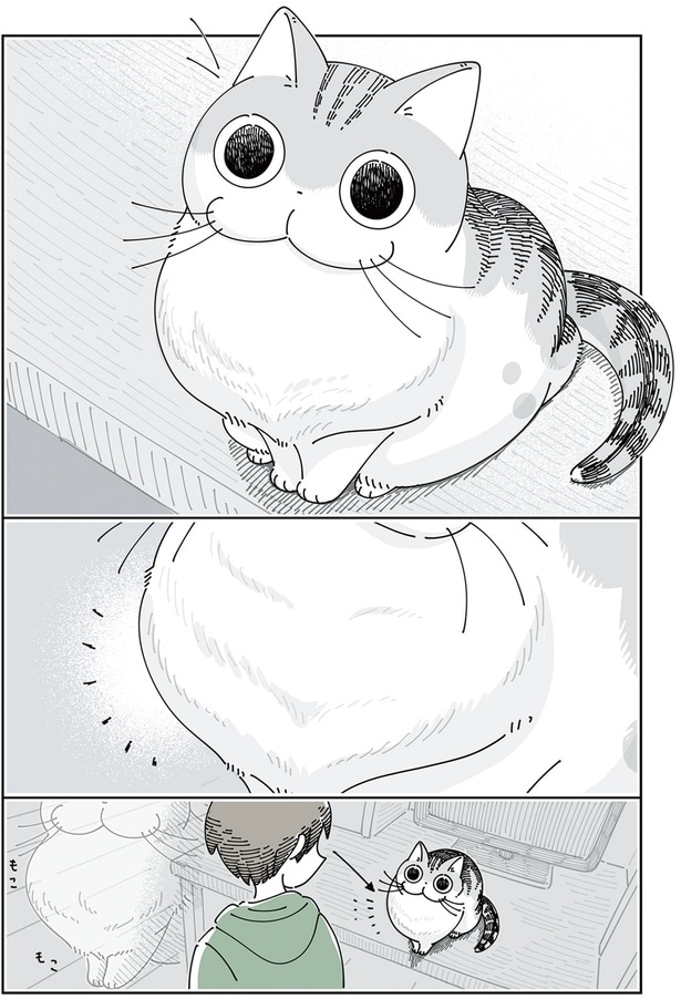 なでると形が変わるネコ