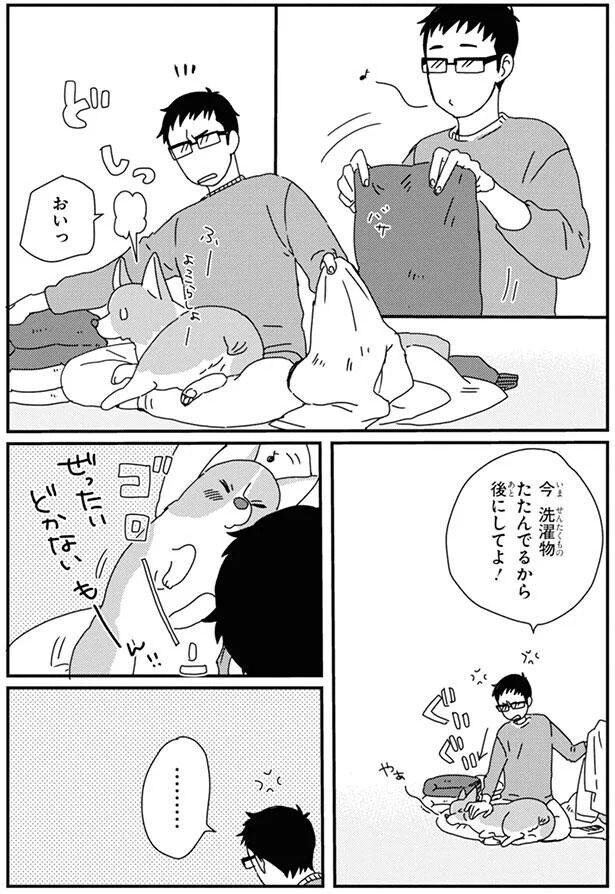 ぜったい　どかないもーん！！