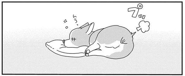 「何の音!?」自分のオナラにびっくりしちゃった愛犬がウロウロ