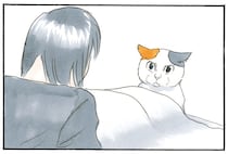 少しは反省しろぉ！ イタズラを叱っても全く響かない猫。しかももう一回やり出す