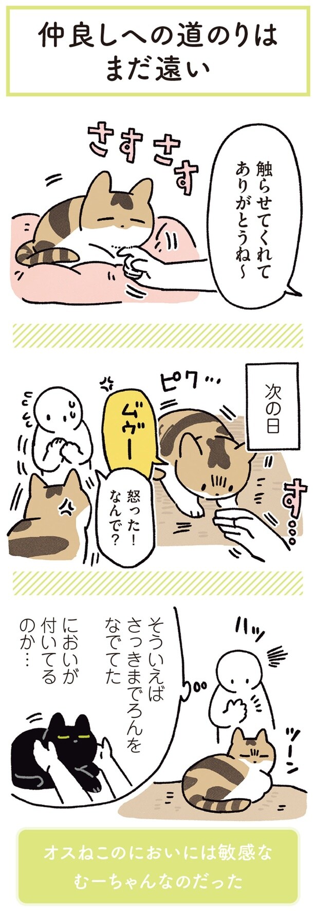 触らせてくれてありがとうね～