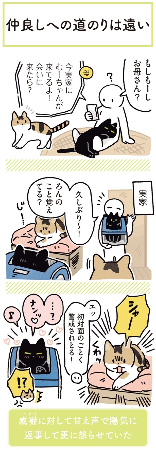 初対面のごとく警戒されとる！