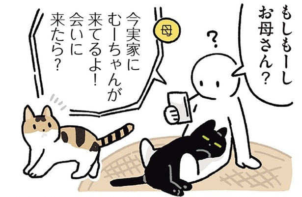 会いに来たら？