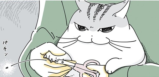 爪切りを嫌がる猫