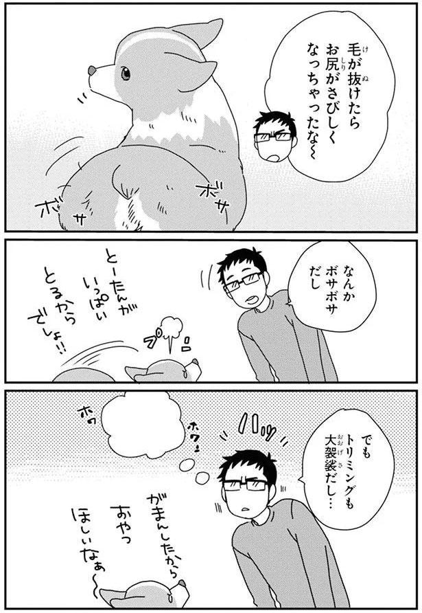 毛が抜けたらお尻がさびしくなっちゃったな～