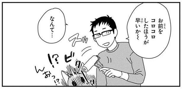 うちのワンコはコロコロがキライ!飼い主の悪い冗談に思わず!?