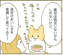 血糖値を急上昇させないためにはどうする？オススメの食べ方＆食材とは？