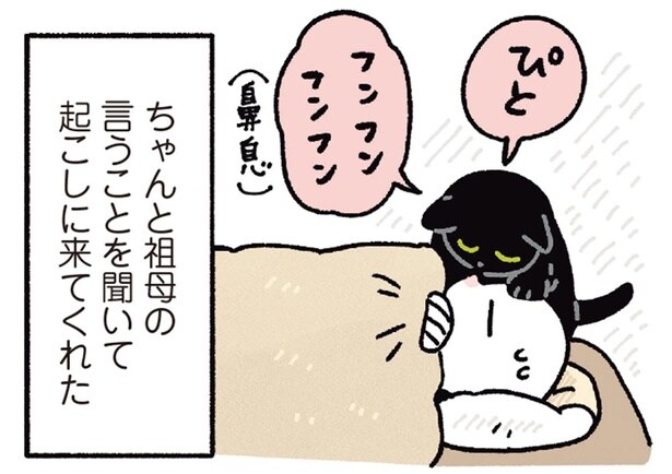 起こしに来てくれた