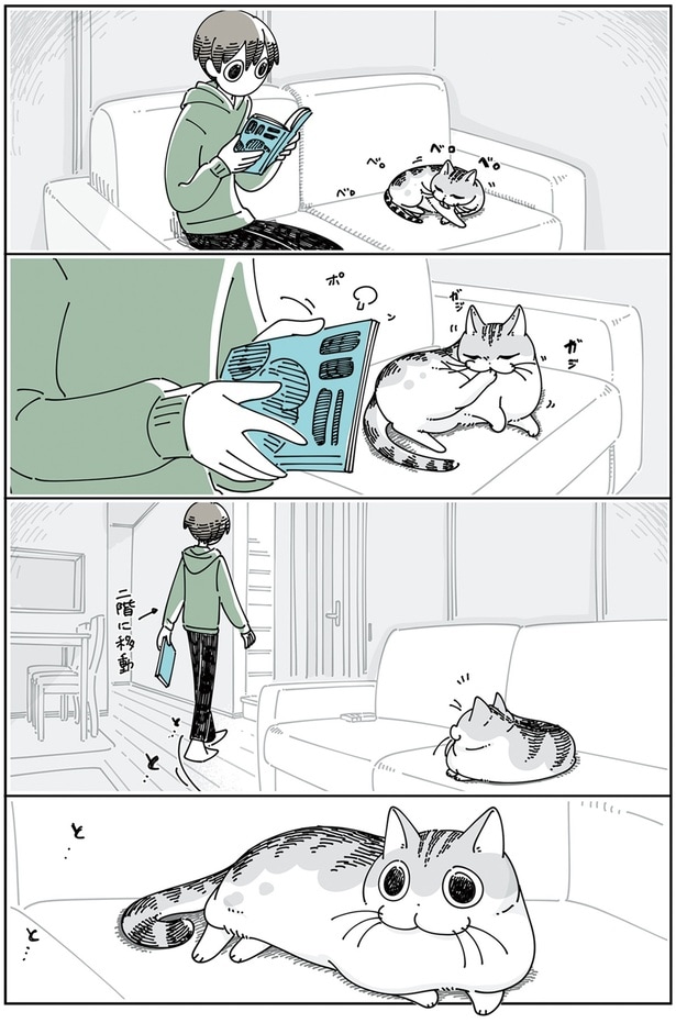 ついてきてくれるネコ