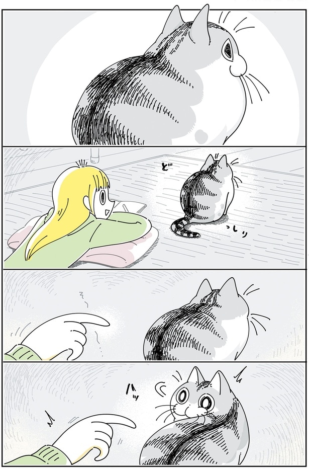 ネコの気配察知