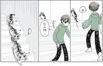 部屋を移動するとついてきてくれる猫。追従が申し訳なくなる瞬間