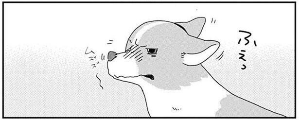 ワンコの鼻がムズムズ！思いっきりくしゃみしたら大惨事に！