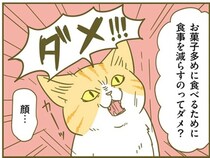 お菓子が大好き！「お菓子を多めに食べるために食事を減らすのってダメ？」