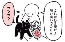 9年目の発見！黒猫ろんの意外な好物が明らかに