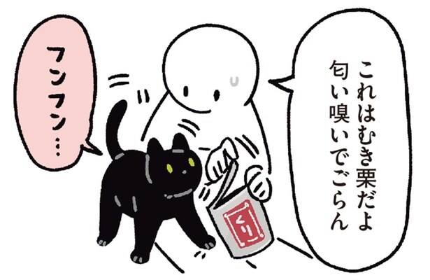 9年目の発見！黒猫ろんの意外な好物が明らかに