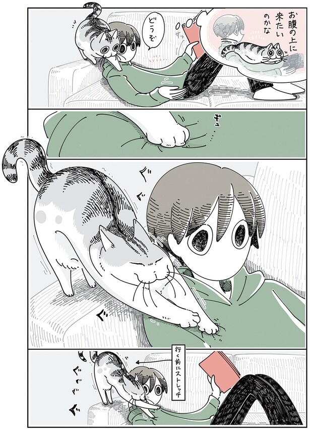 お腹の上に来たいのかな