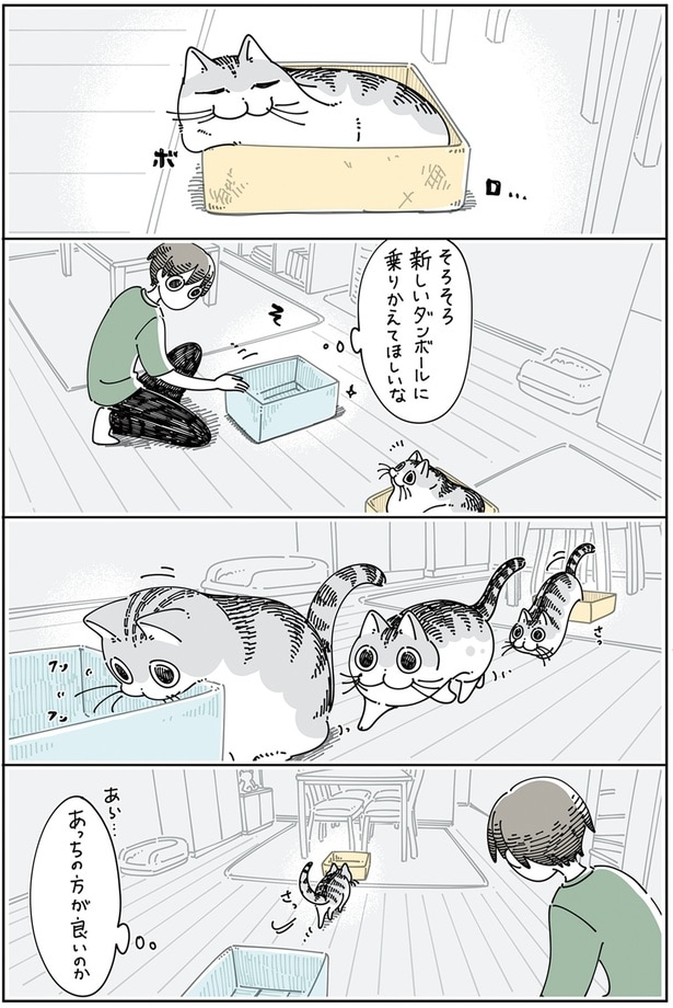 ボロボロダンボール