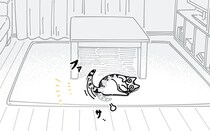 感情で動かし方が変わる？ 猫を呼んだときの反応が人によって全然違うんです