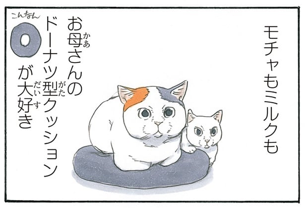 猫たちお気に入りのドーナツ型クッション。全員分買えば平和かと思いきや？