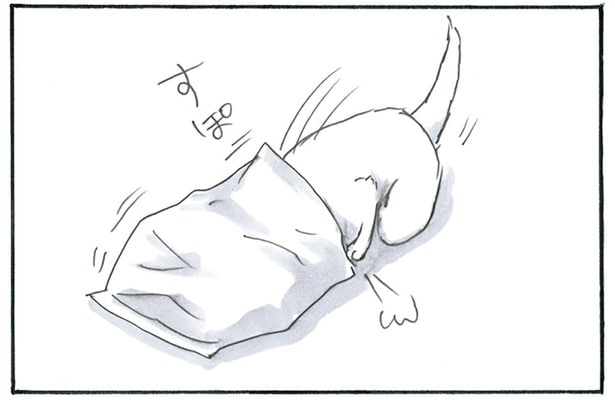 お菓子の袋をかぶって…