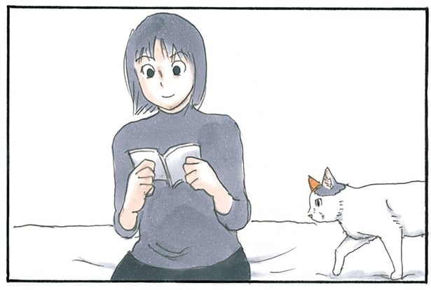 くっついたりくっつかれたり。互いに充電し合う猫と飼い主