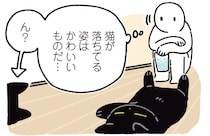今年の夏はひと味違う？廊下でくつろぐ黒猫ろんと新しい猫たち