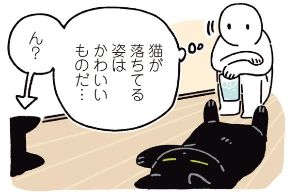 今年の夏はひと味違う？廊下でくつろぐ黒猫ろんと新しい猫たち