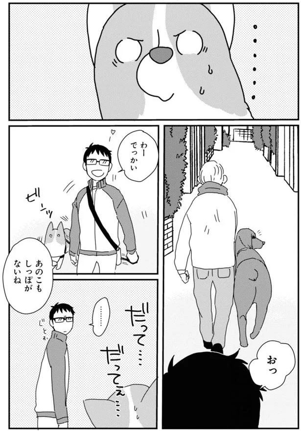 あのこもしっぽがないね