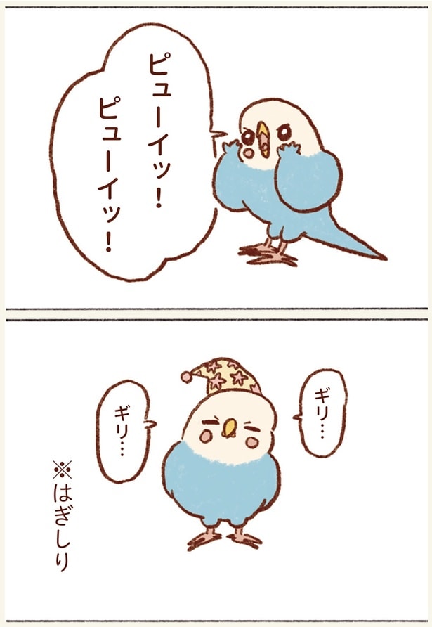 ピューイッ!