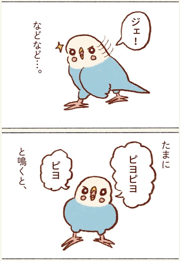 たまにピヨピヨと鳴くと…