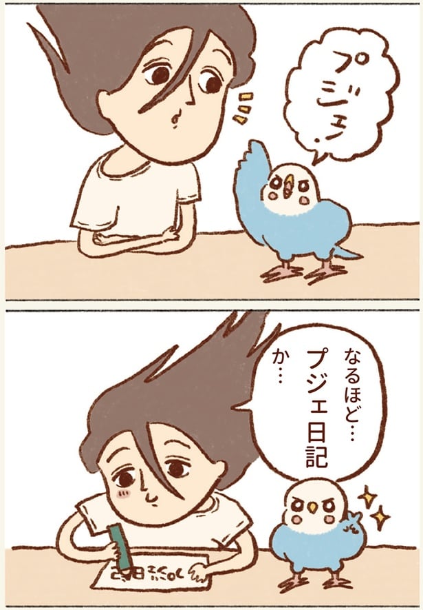 なるほど…プジェ日記か…