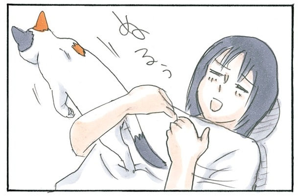 呼びかけに答えてくれたと思ったら…