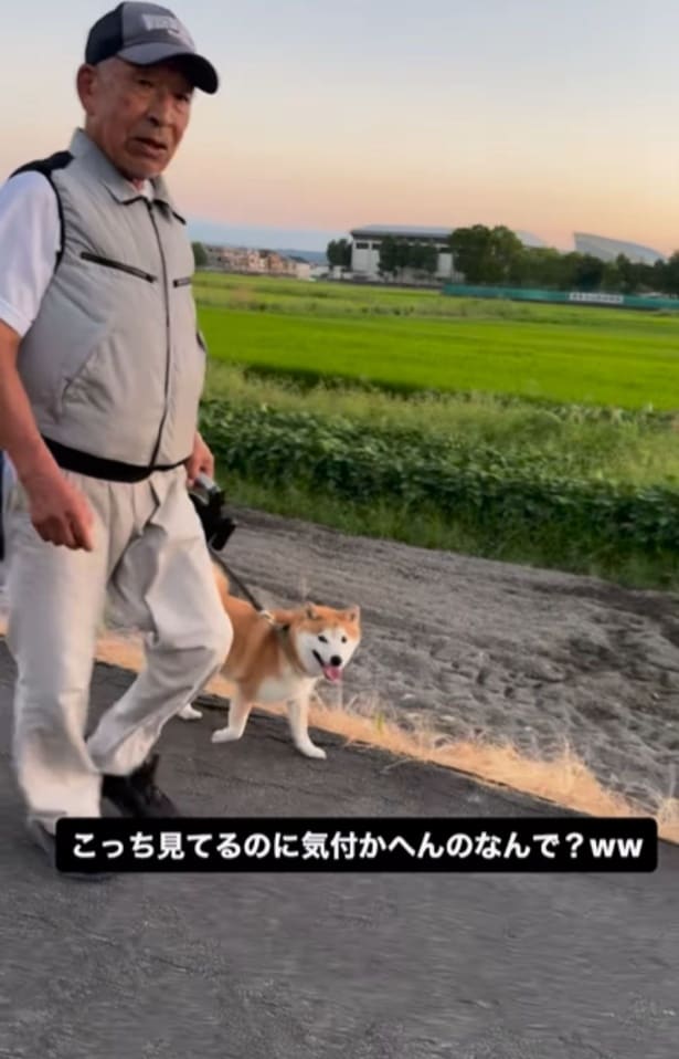 目の前にいるのに気づかないふたり▶幸せそうな富士くんに注目(⇒次へ)