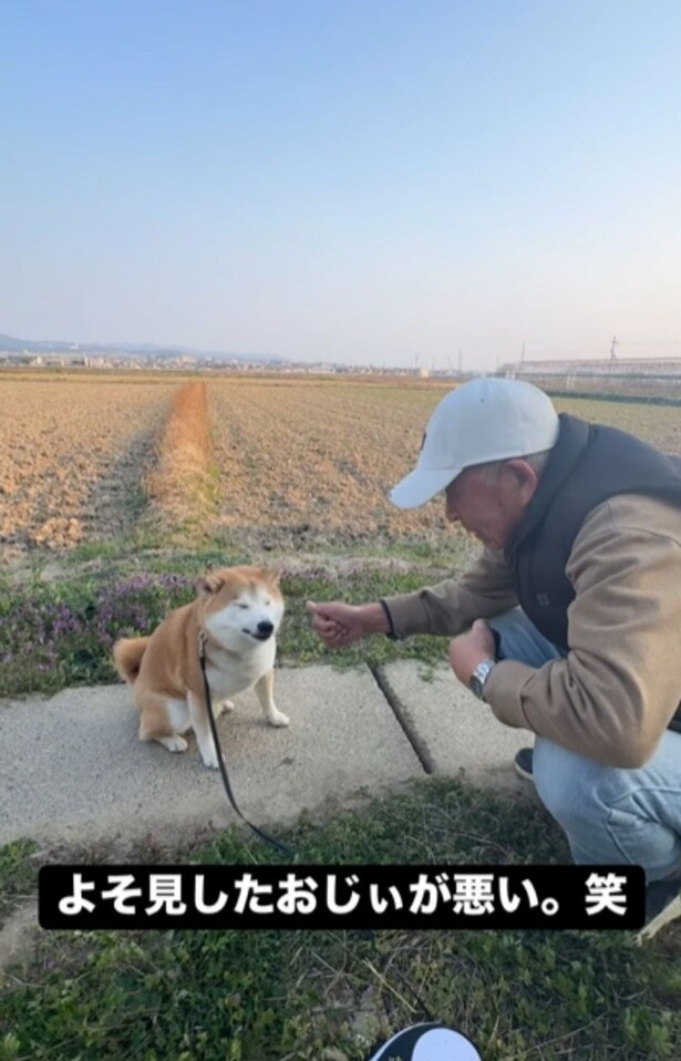 おやつをすかさずペロリと食べた富士くん▶散歩中にドッキリを仕掛けてみると…(⇒次へ)