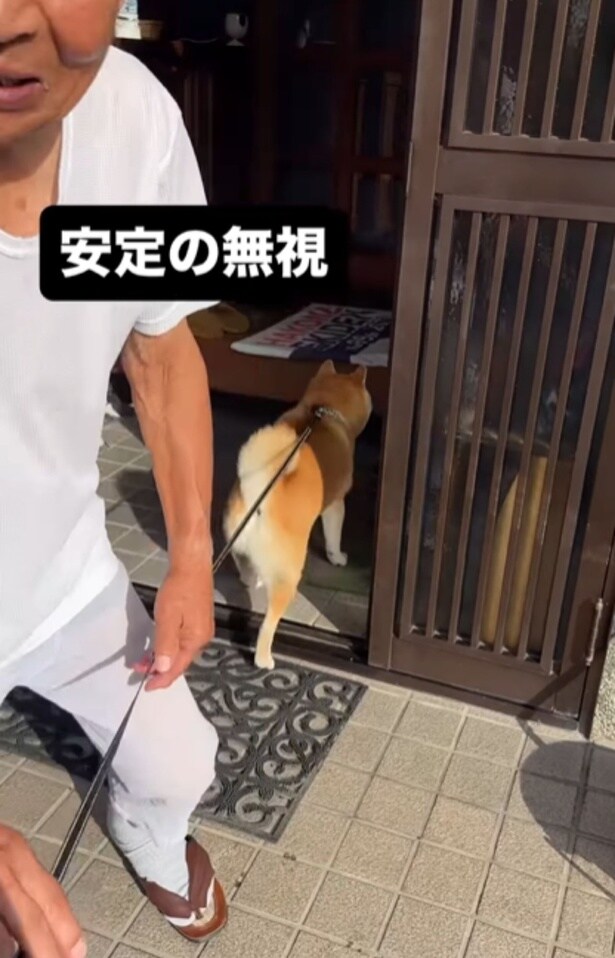 玄関で待っていたおじいちゃんを無視して中に入る富士くん▶歯磨きの意味…!(⇒次へ)