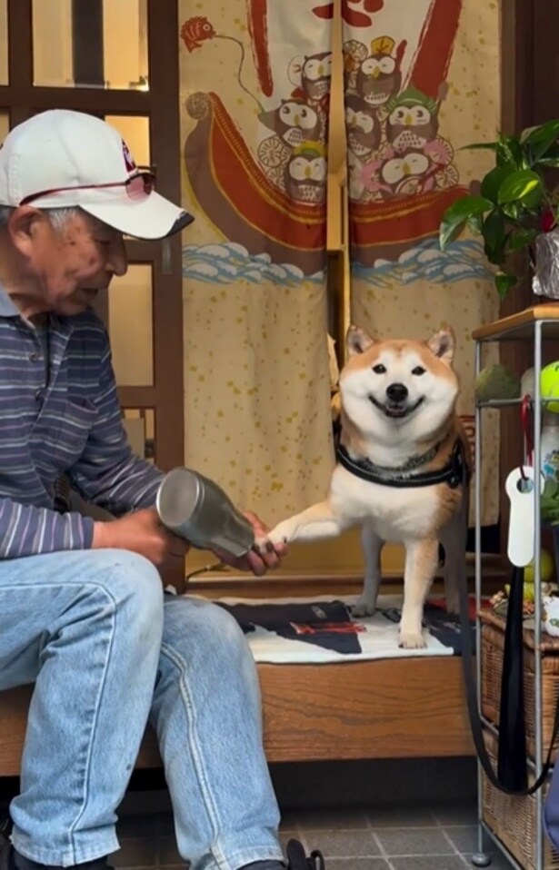 富士くんの片腕にドライヤーをあてるおじいちゃん▶安定の無視とは…!?(⇒次へ)