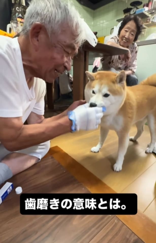 おじいちゃんが富士くんの歯磨きをしてくれる▶上手に歯磨きができたので…!?(⇒次へ)