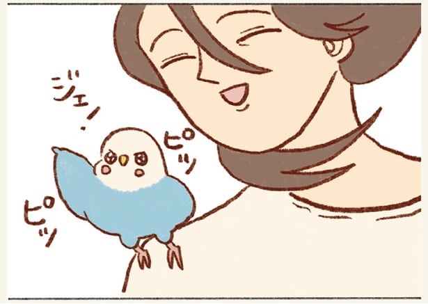 たまにしか行かない2階は未知の世界。大興奮でお家探検してくれるインコ