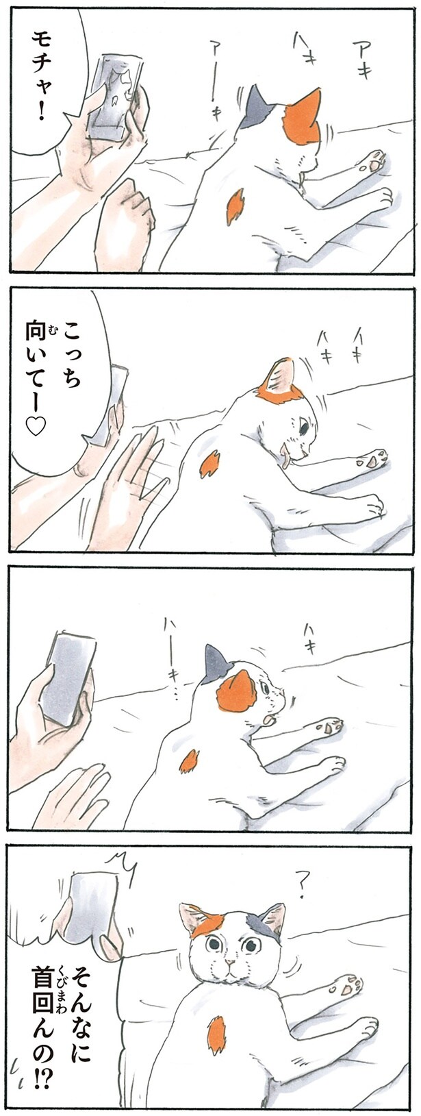 こっち向いて