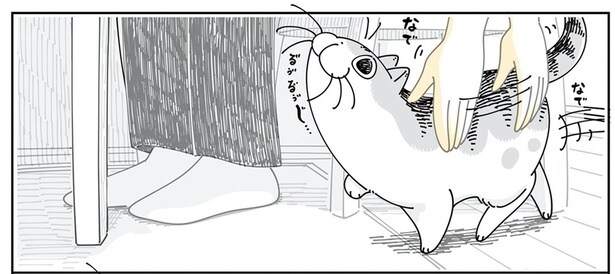撫でてほしそうにやってくる猫。しかしその道はまっすぐではないようで?