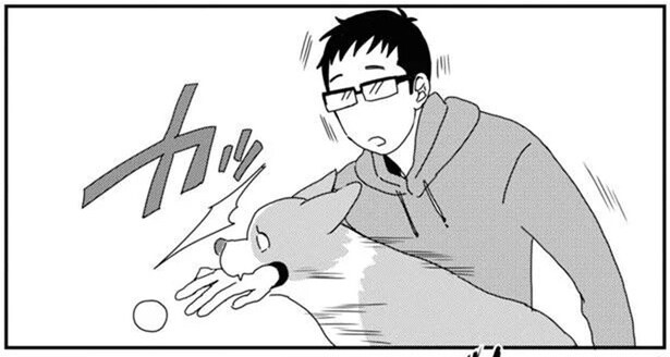 事故だから!テンションが上がりすぎて猛省中のワンコ