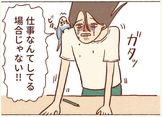 仕事なんてしてる場合じゃない! インコに構ってあげられないときに現れる「未来の私」