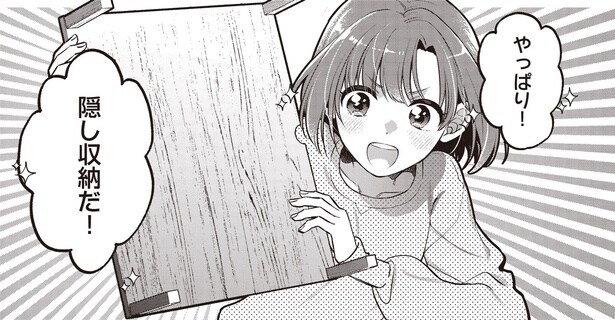 入居したばかりの部屋で発見!?隠し収納にあった開かない箱/或いは、私の名探偵 1(2)