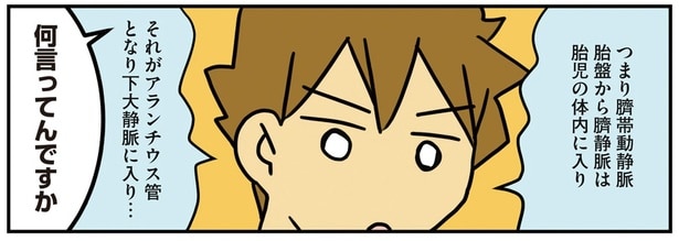 何言ってんですか