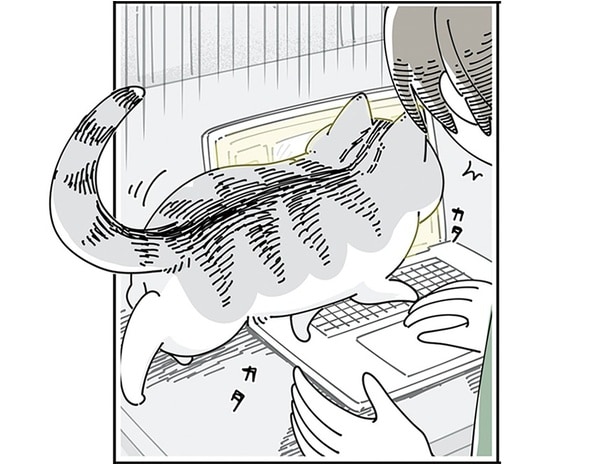 キーボードの上を歩く猫